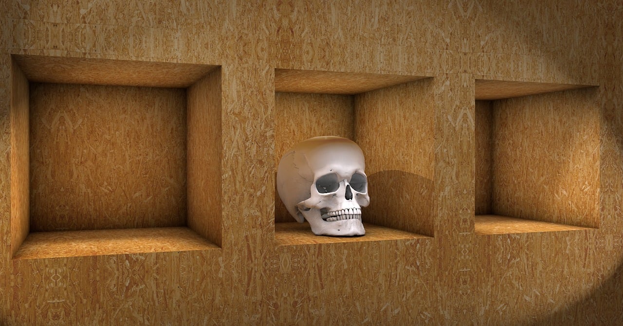 d&eacute;couvrez les meilleurs types de bois pour fabriquer des &eacute;tag&egrave;res murales solides et esth&eacute;tiques, adapt&eacute;s &agrave; tous les styles de d&eacute;coration int&eacute;rieure.