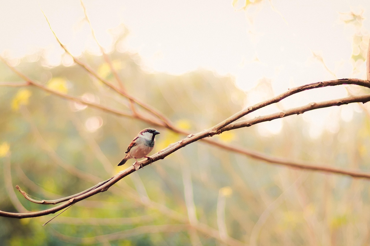 découvrez les risques électriques dans les maisons anciennes et apprenez comment les identifier et les prévenir pour assurer la sécurité de votre habitation.